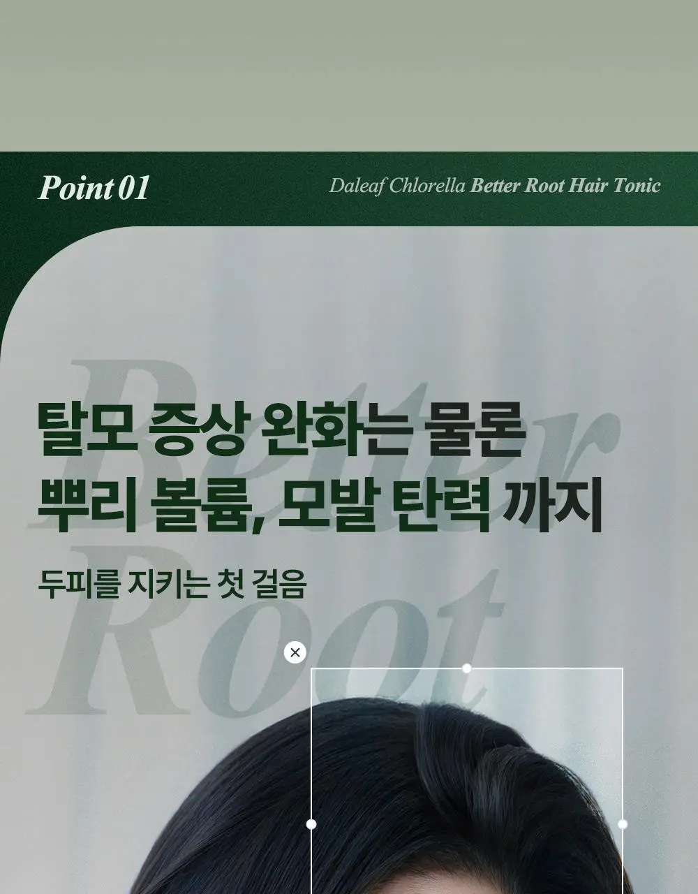 [1등헤어토닉] 달리프 클로렐라 탈모증상완화 헤어토닉 더블기획(100ml+100ml) 상세페이지 20